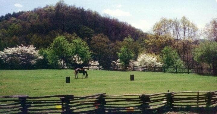 Pasture and split-rail fence with rolling mountain backdrop
