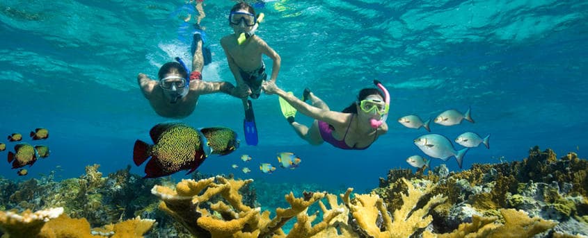 Snorkeling Adventures with Dixie Divers in Deerfield Beach