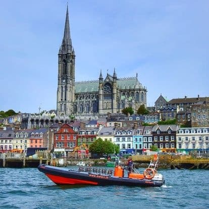 Water Activities & Cork Sea Safari: A Thrilling Cork Harbour Cruise