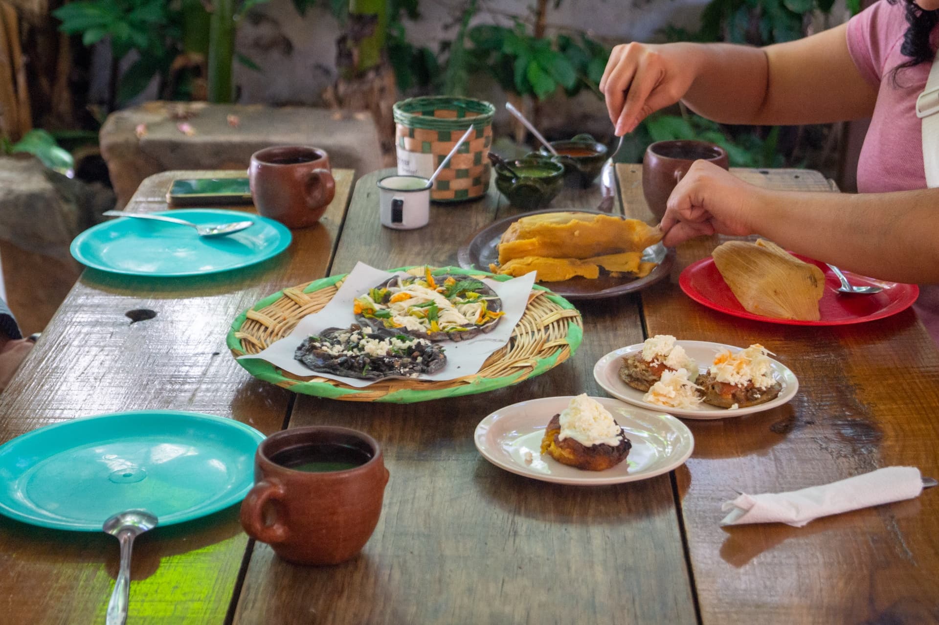 Oaxaca Street Food Tours fleet