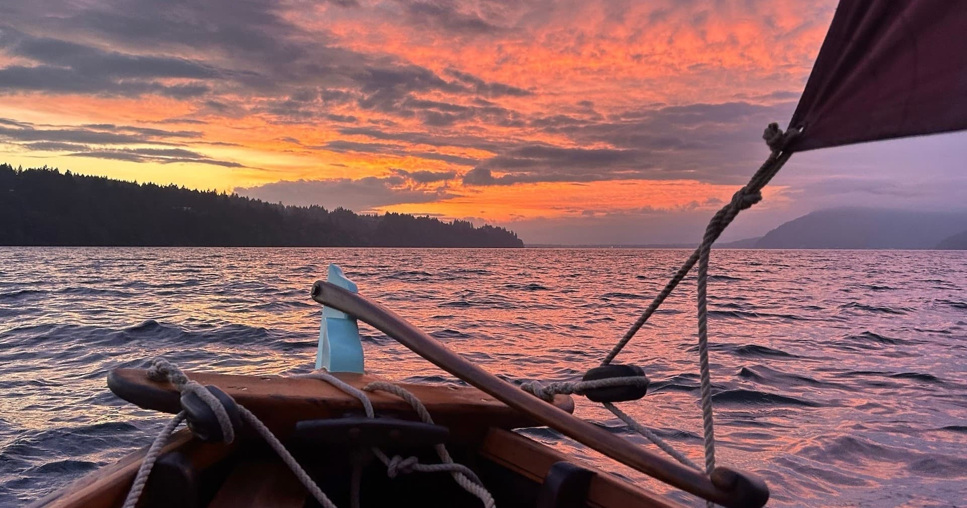 Water Activities: Night Rowing with Lux in Bioluminescent Waters