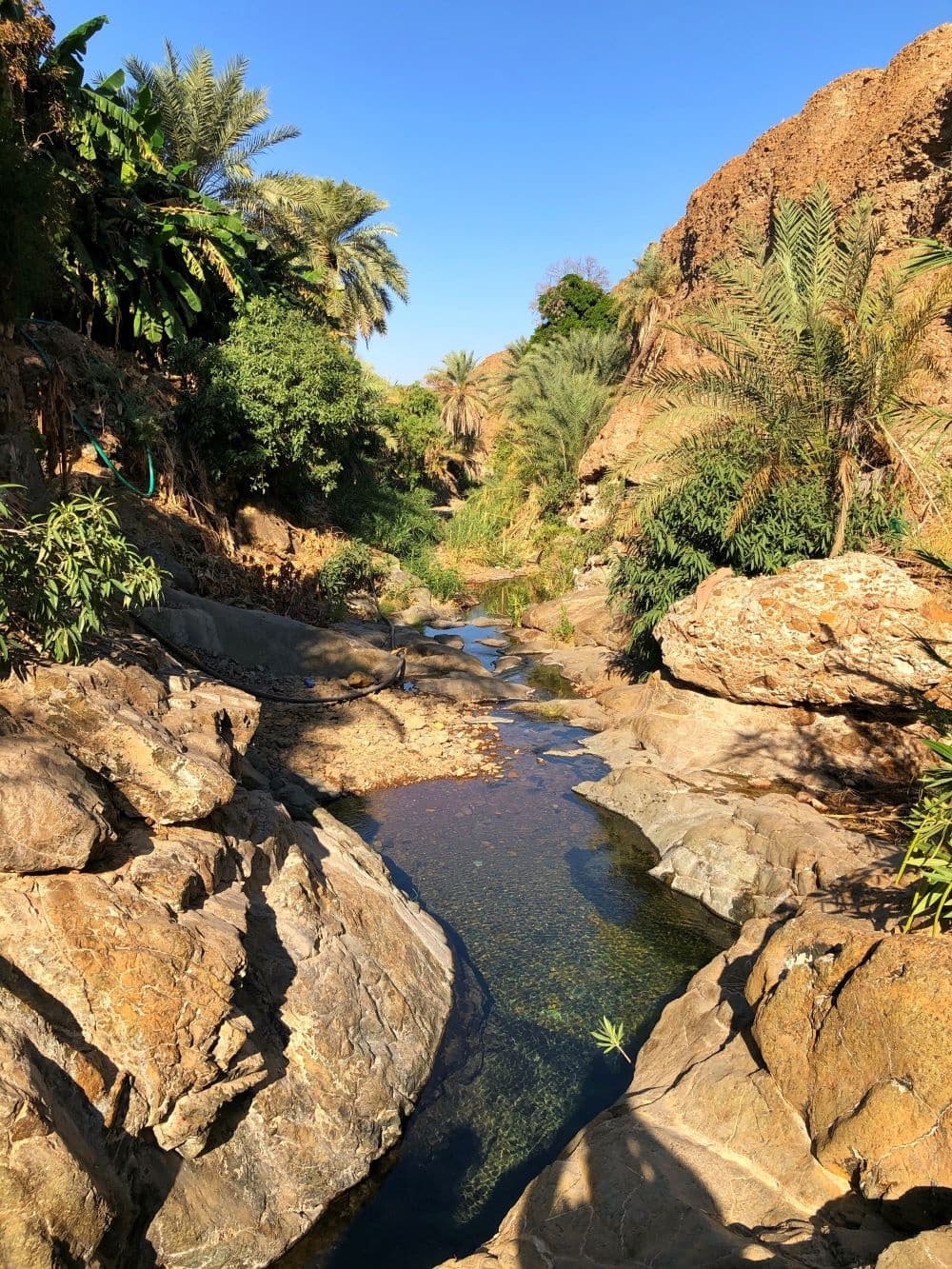 Al Hamba Ravine Hike & Sound Healing by ECC Adventure