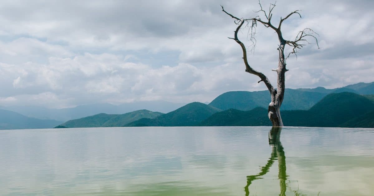 Solitary dead tree reflected in mountain lake, calm landscape