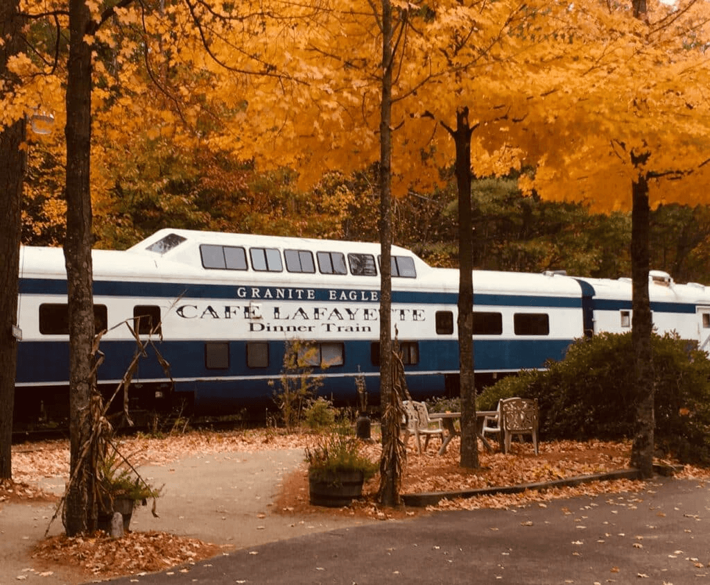 Cafe Lafayette Dinner Train fleet