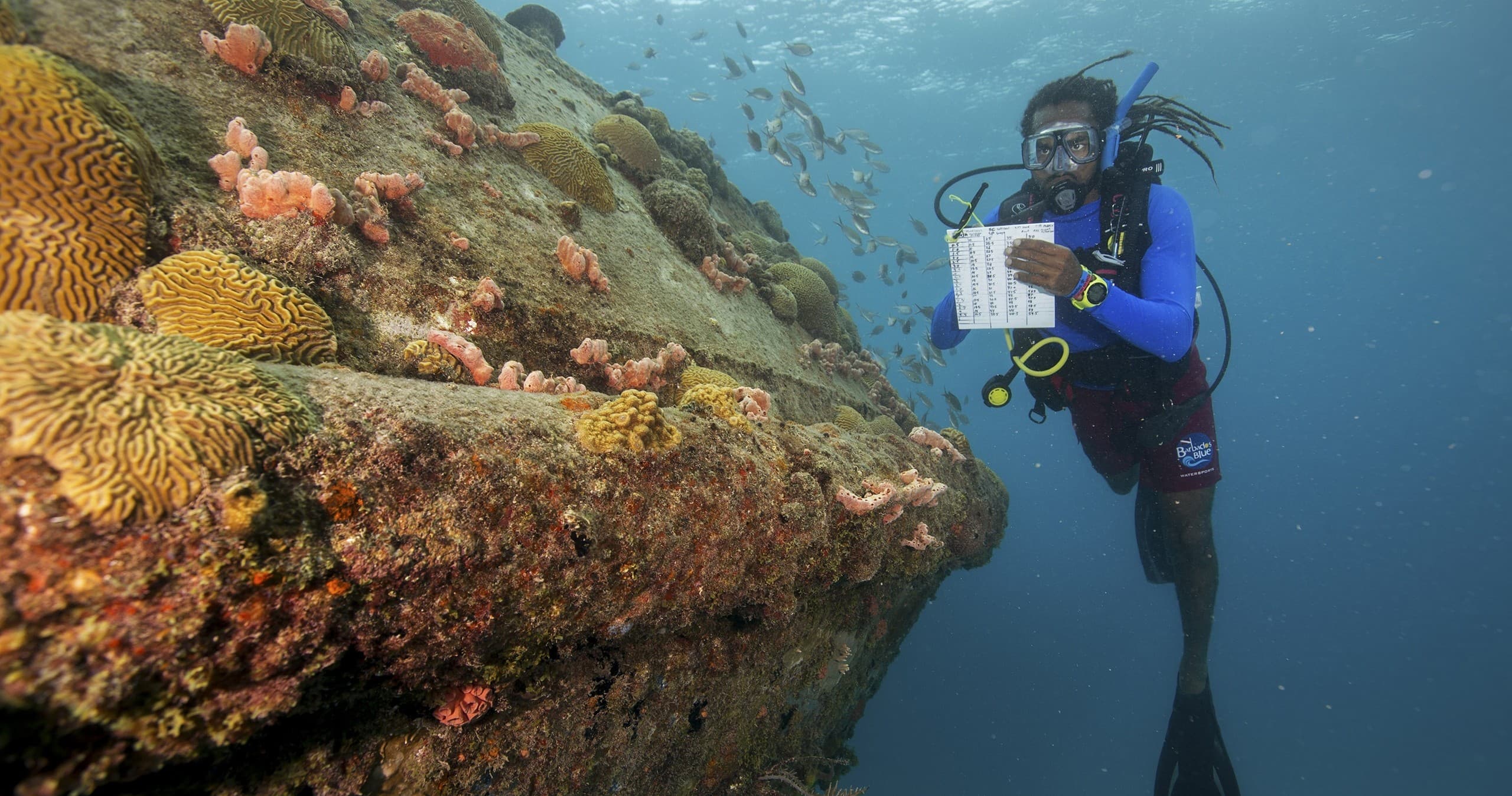 PADI Coral Conservation Dive in Key West, Florida