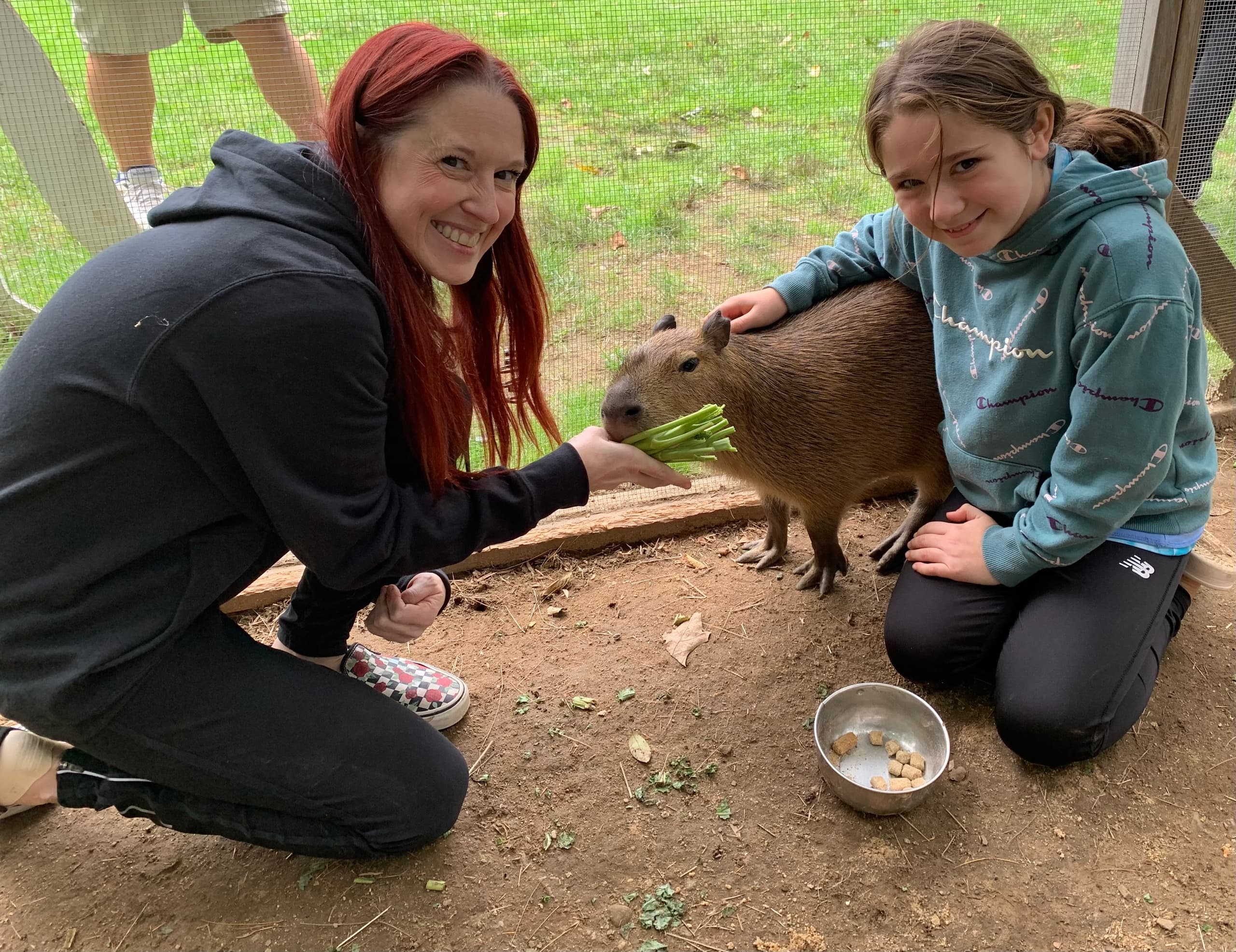 The Ultimate VIP Tour with Animal Adventures in Bolton