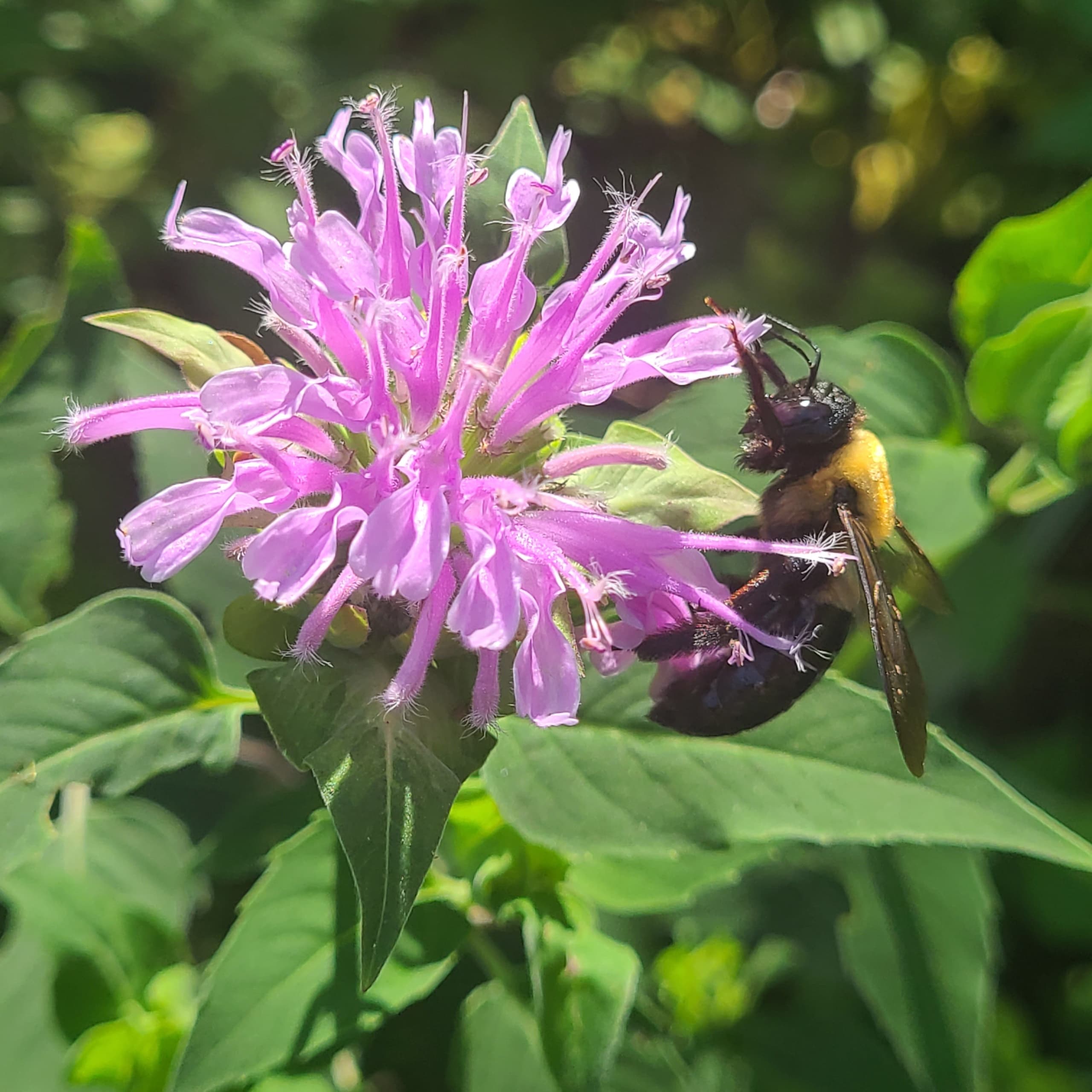 Outdoor Photography Workshop at The Sawmill with Buzzards Bay Coalition
