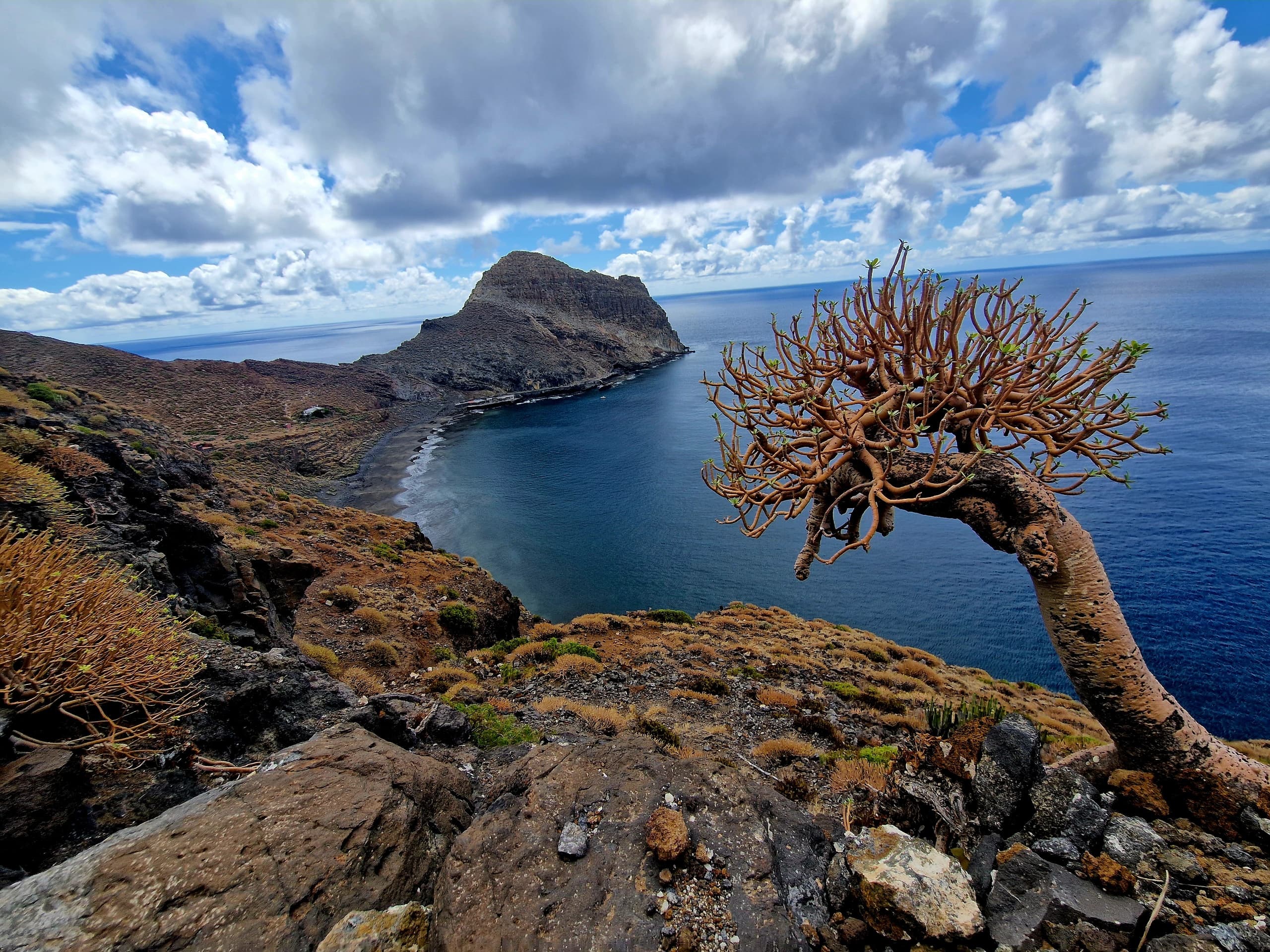 Hiking with Wild Mountain Canarias in Santa Cruz de Tenerife