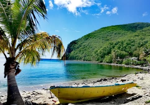 Land Adventures in Guadeloupe with Pelican Safari Tour