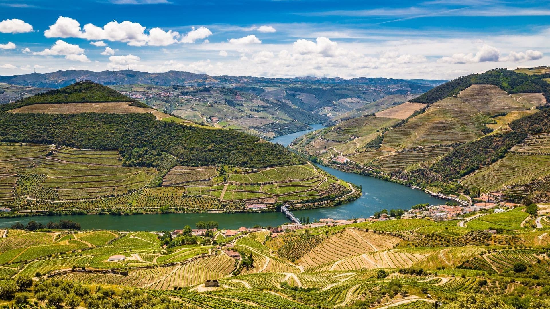 Douro River Wine Journey with Dourotours
