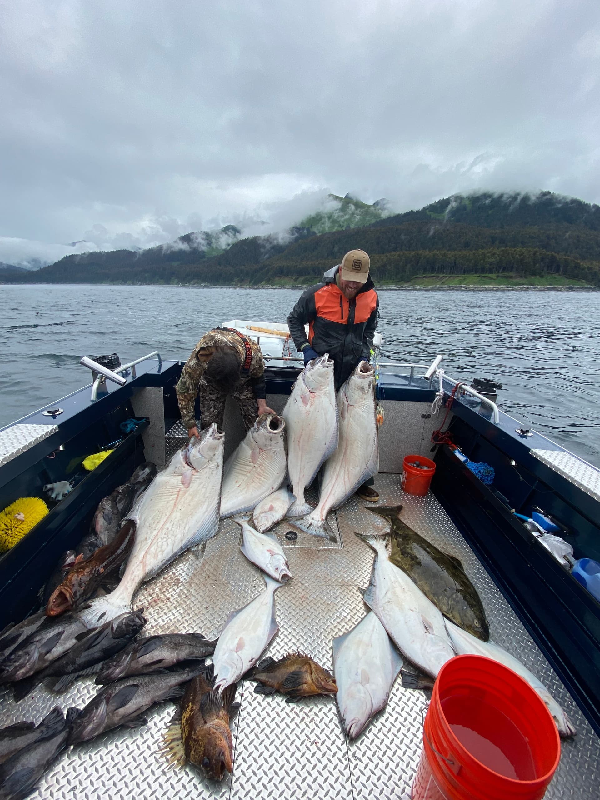 Full deck of halibut and cod on fishing boat off Alaska coast