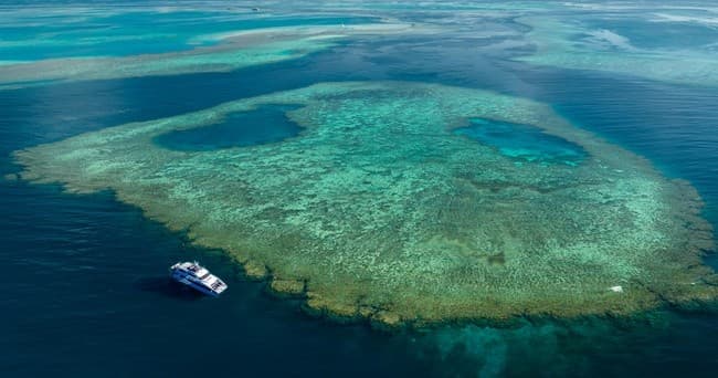 Reef Quest Private Charter: Outer Great Barrier Reef Wavepiercer Snorkel from Shute Harbour