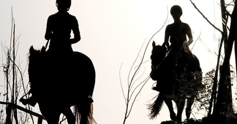 Silhouetted horseback riders riding along a wooded trail at dusk