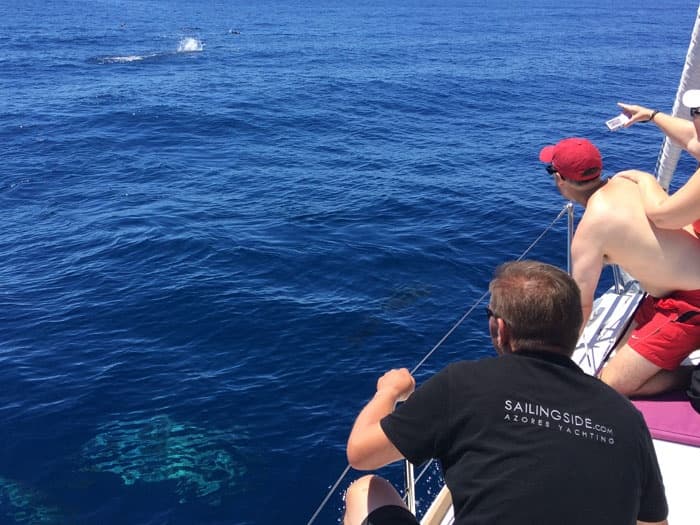 Sailing Dinners and Overnight Stays with Sailingside in Ponta Delgada