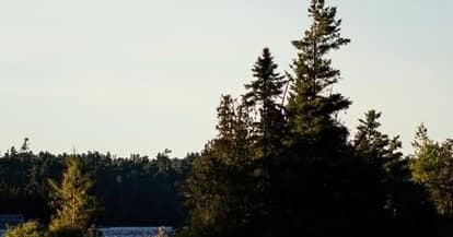 Outfitting a 6-Day Backcountry Canoe Trip in Temagami: Meal & Gear Only Packages