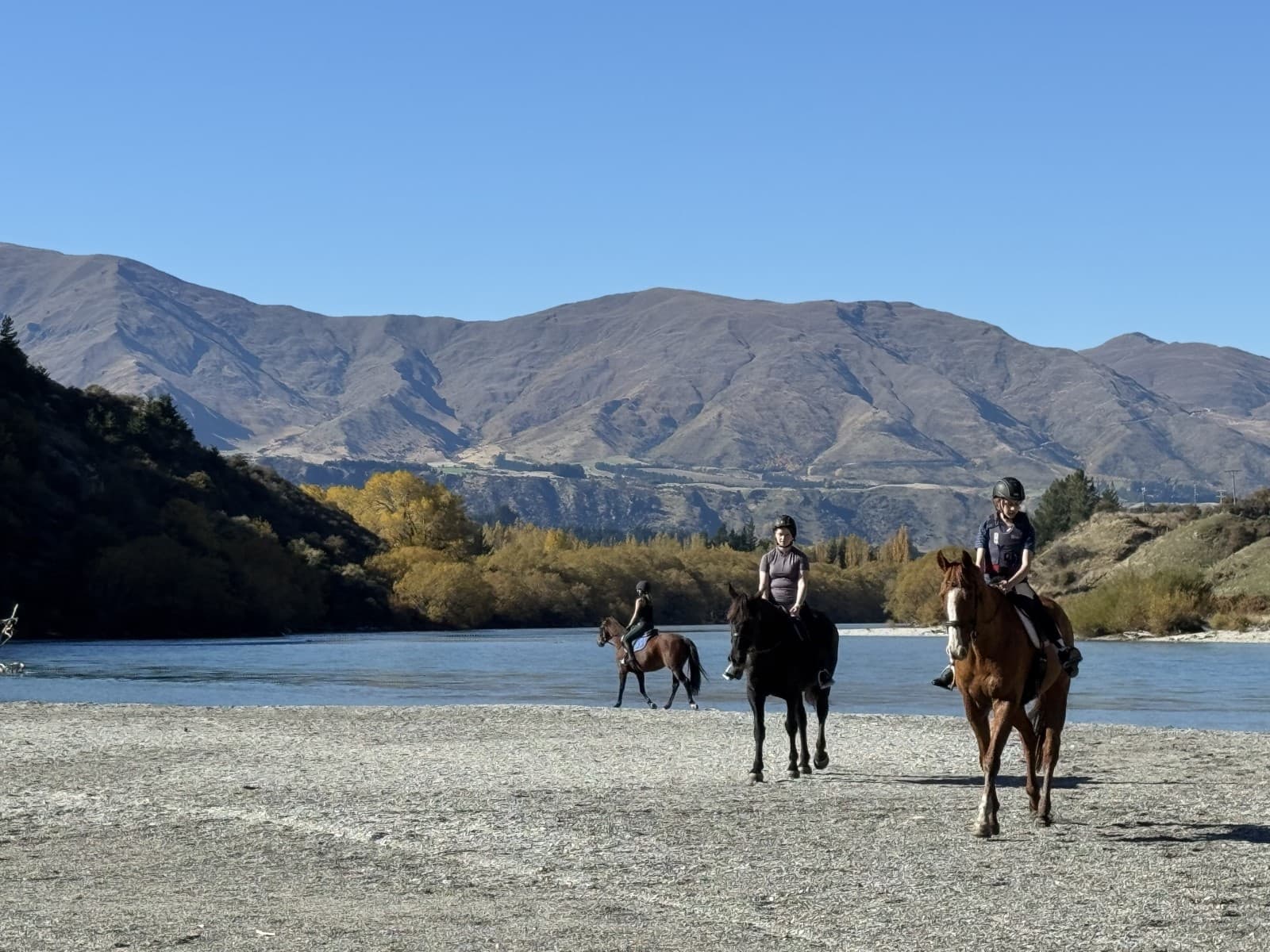 Three-Day Equestrian Sleepaway at Shotover: Trail Rides, Lake Swims & Mounted Games photo 2