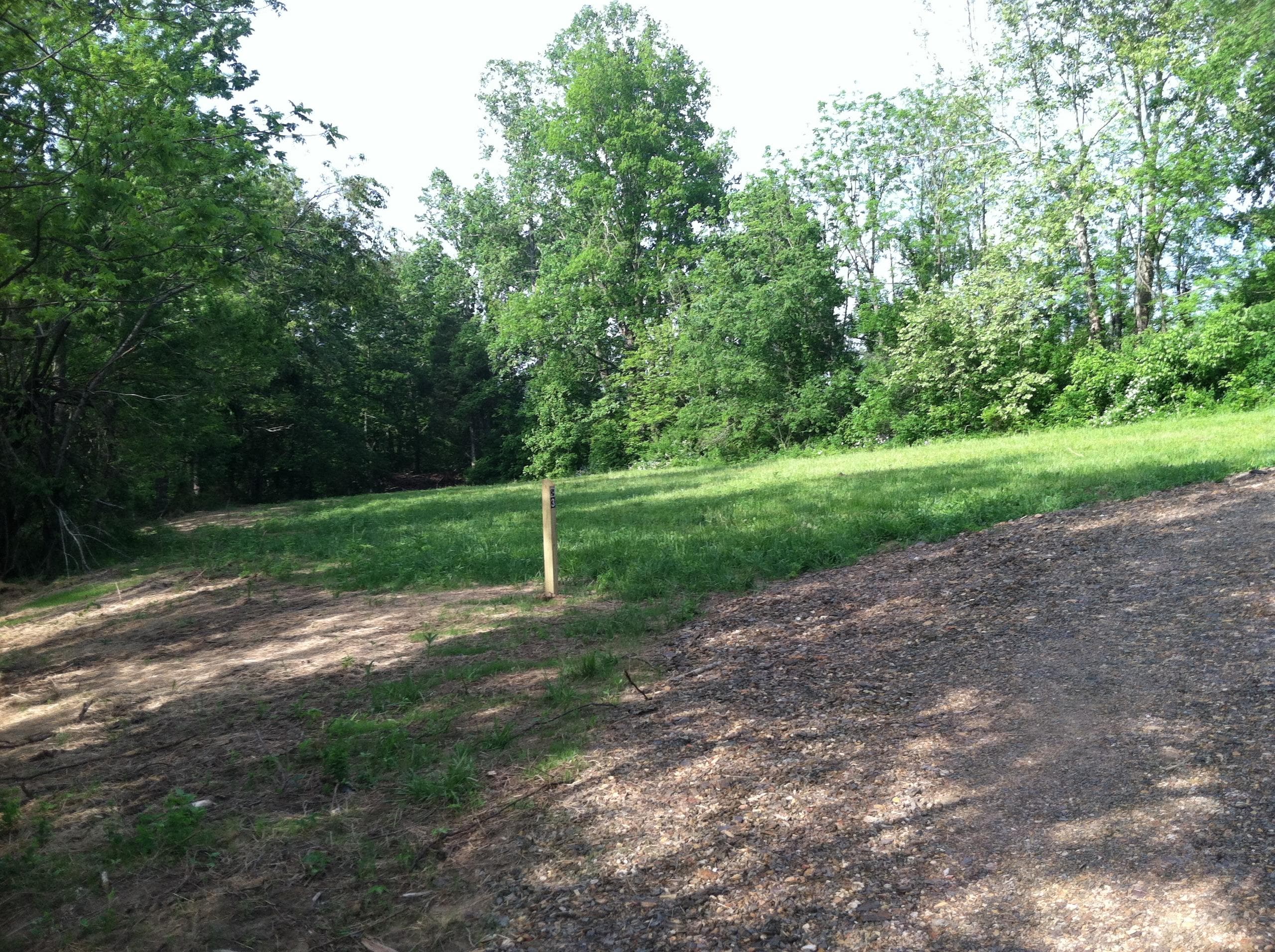 Camping by the Gala River: Unwind at Eagle Rock’s Unique Working Dairy Farm Campsite