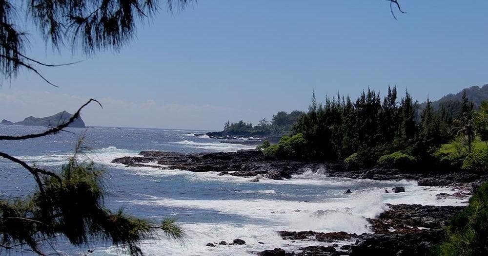 Rocky north shore coastline with waves crashing and palm trees