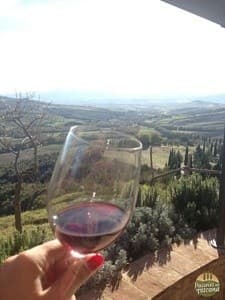 Pisa to Chianti: Private City Tour and Six-Wine Vinícola Tasting photo 1