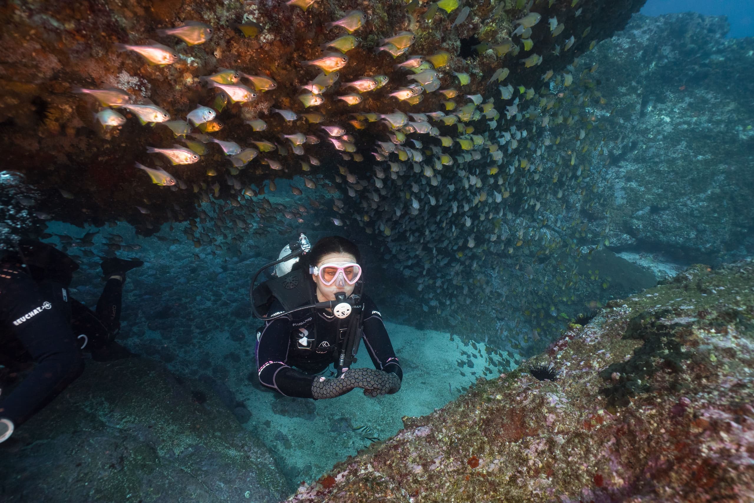Scuba diver exploring rocky reef cave beneath schooling fish