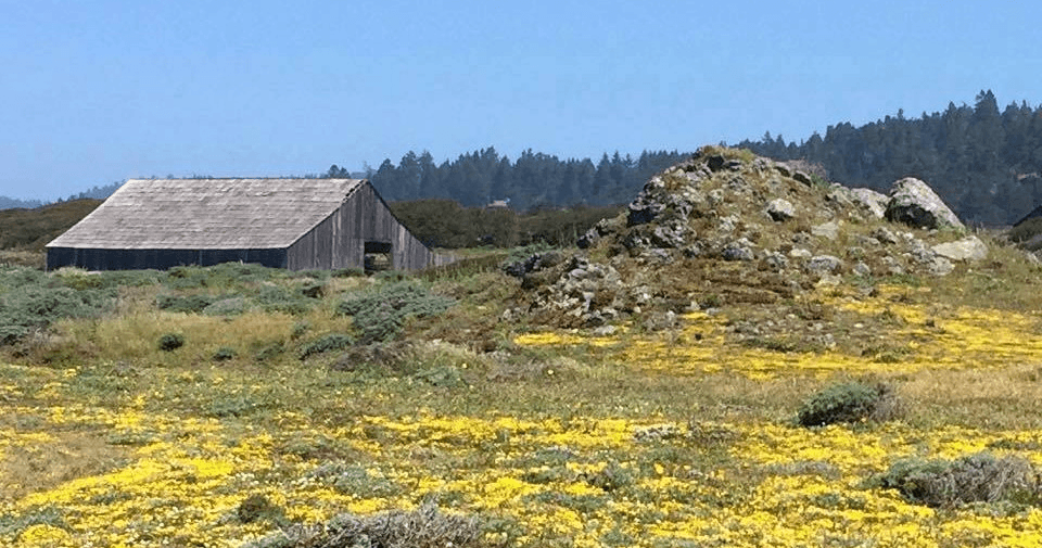 The Sea Ranch Eco Tour: Architecture & Nature in California