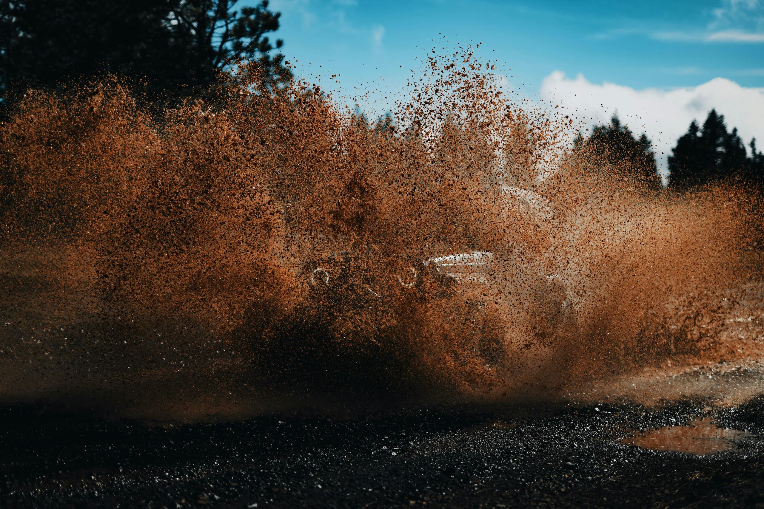 Mud, Pines, and Power: Hog Waller 3-Hour ATV Rentals in Palatka, FL
