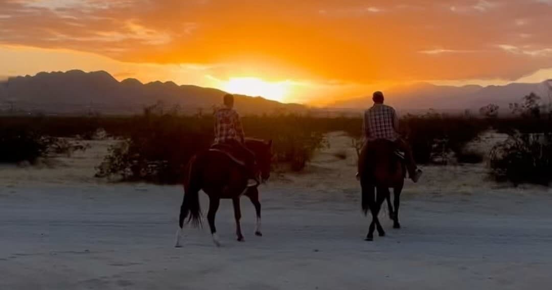 Discover Natural Horsemanship and Riding Lessons in Joshua Tree’s Iconic Desert Landscape