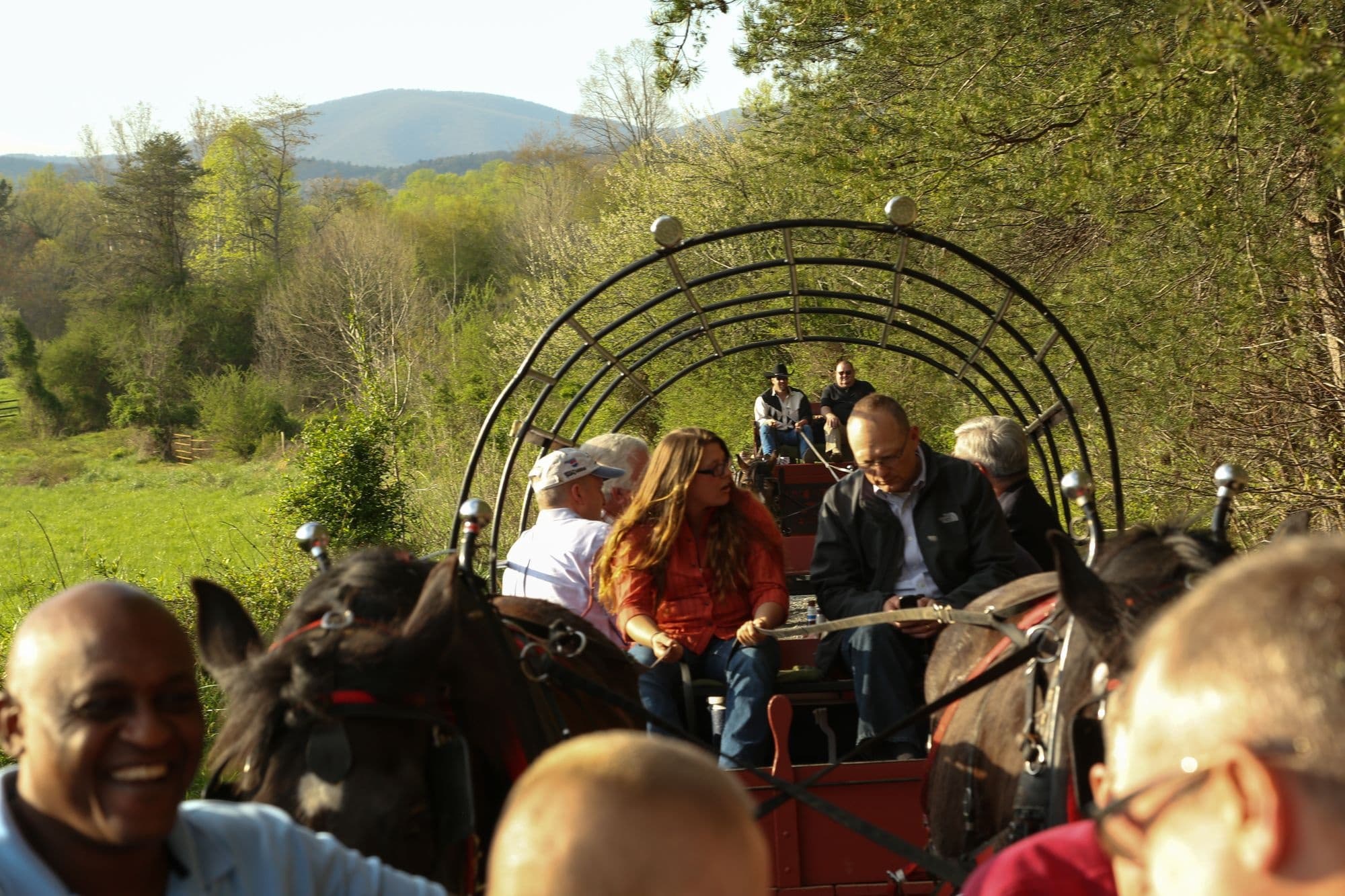 Group wagon ride with horses through green valley tour
