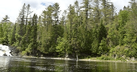 Water Activities & Wilderness Experience with Algonquin North Wilderness Outfitter