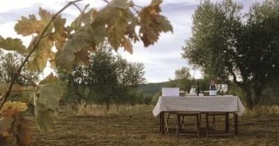 Farm Experiences & Tours fleet