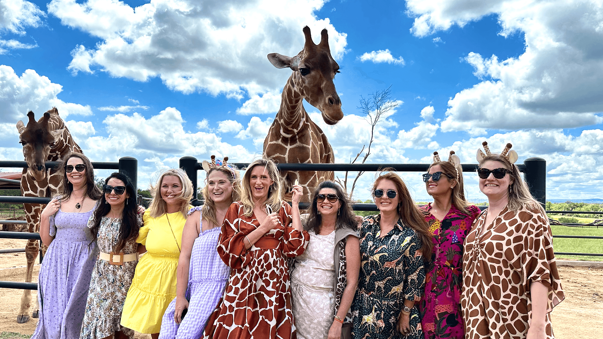 Group posing with giraffes at outdoor sanctuary feeding experience