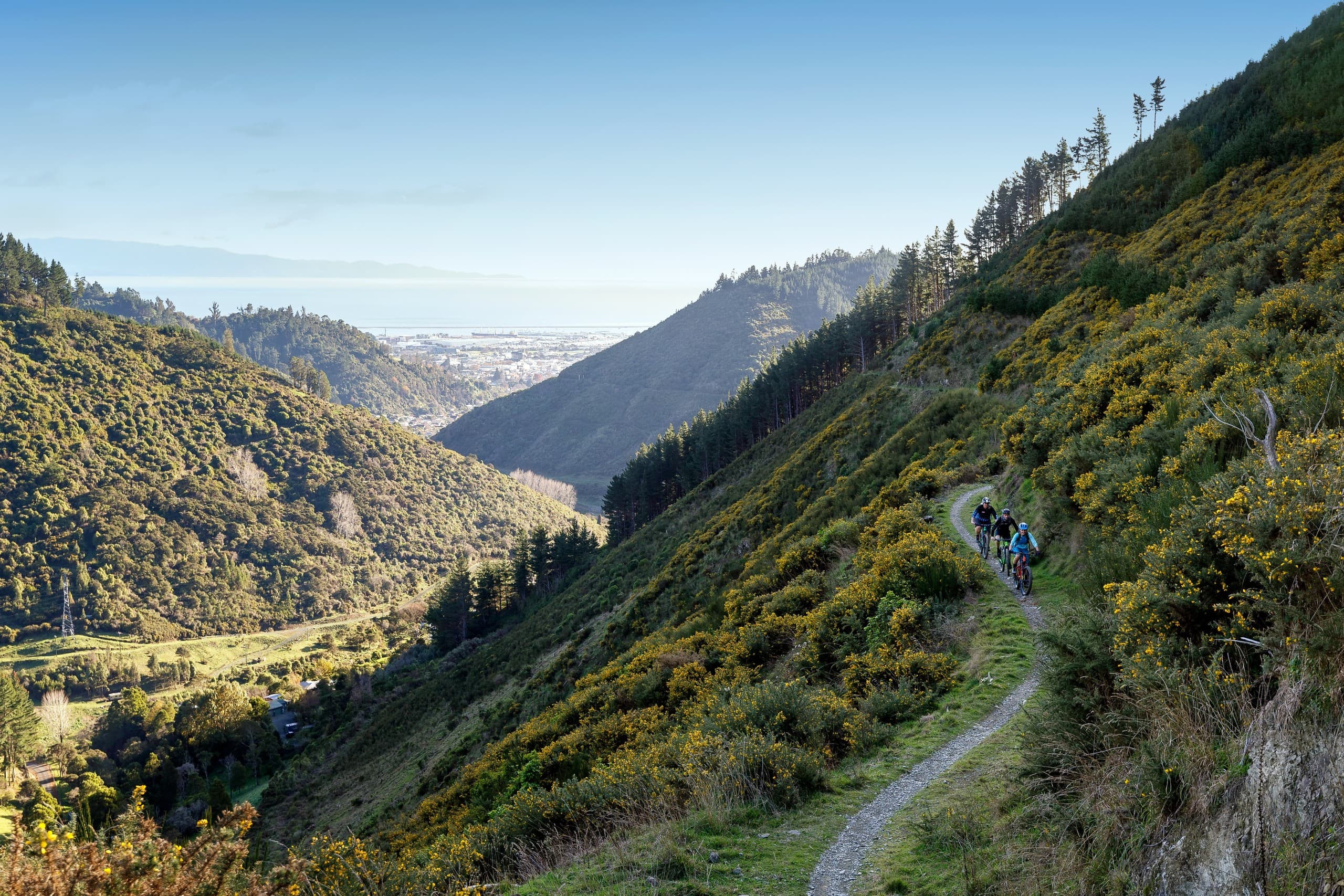 Codgers / Silvan Guided MTB Tour — Nelson's Coastal & Forest Singletrack photo 1