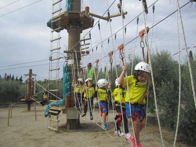 Half-Day Mini Pass: 4-Hour Treetop Circuit & Mini Jump in Cambrils photo 3