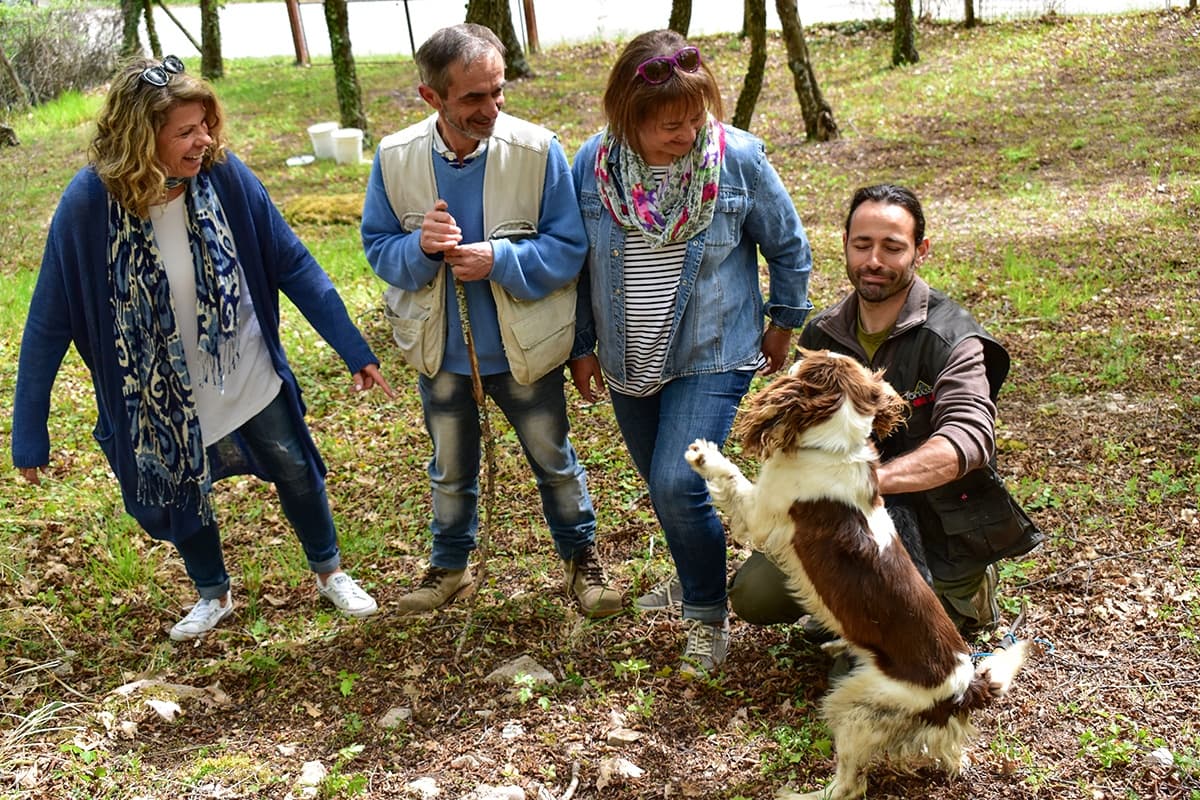 Friends hiking through woods with playful dog, rural vineyard outing