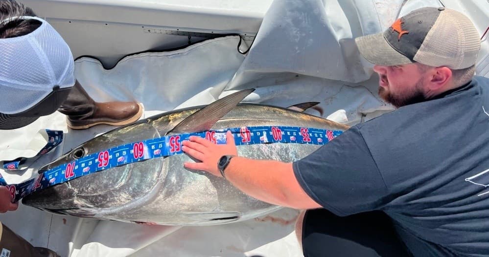 Combination Bass/Tuna Charter | Fishing in Nantucket | Boat Tour, Private, Water Activities, Sports