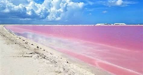 Water Activities Adventure at Las Coloradas & Rio Lagartos with Viajes Tours Maya