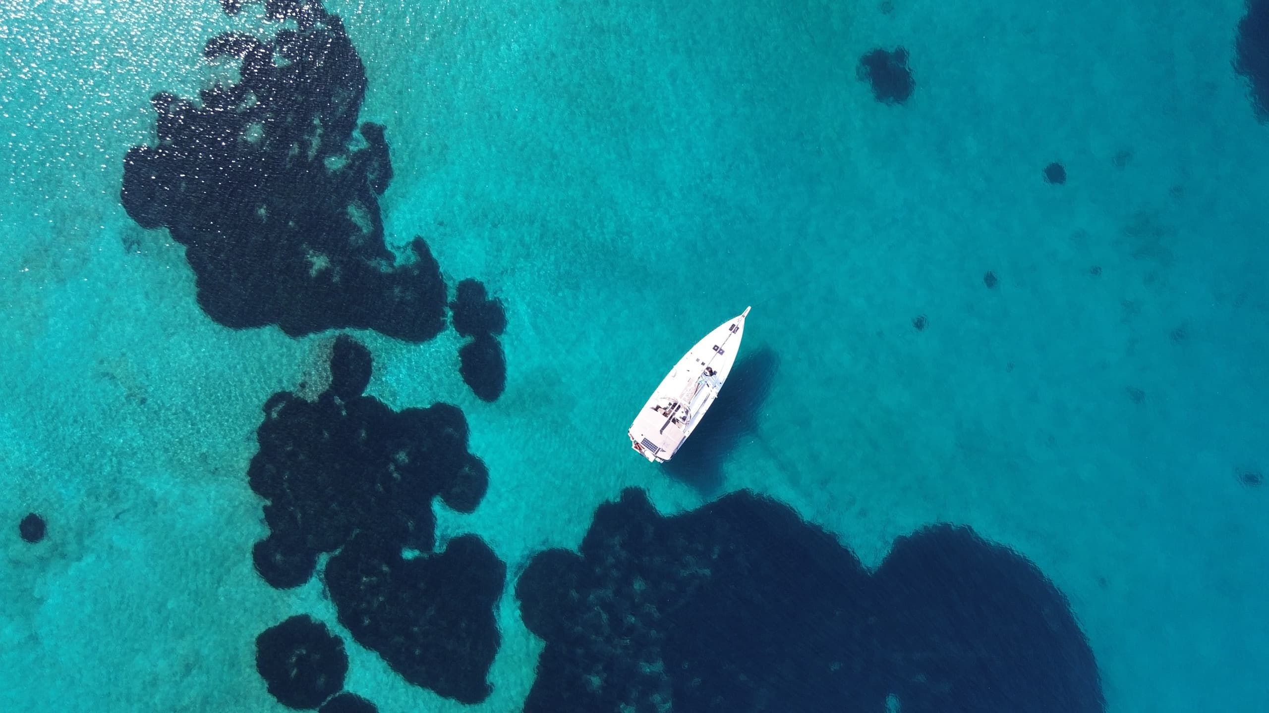 Sailing & Tasting Adventure with Sailbliss in Άλιμος, Greece