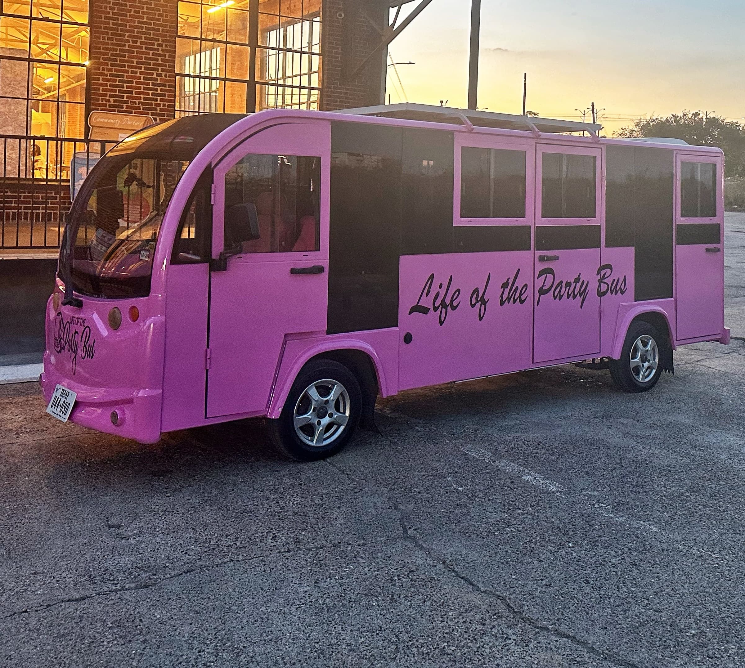 Galentine’s Karaoke Night: Pink Electric Mini Bus Bar Tour in Houston photo 3