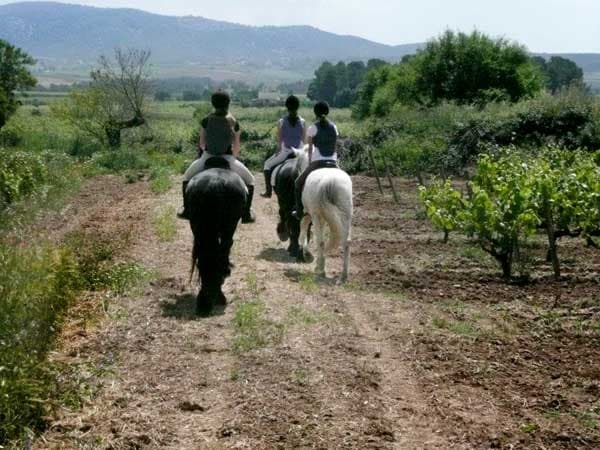 Wine Tasting and Horseback Riding at Bodega Miquel Jané