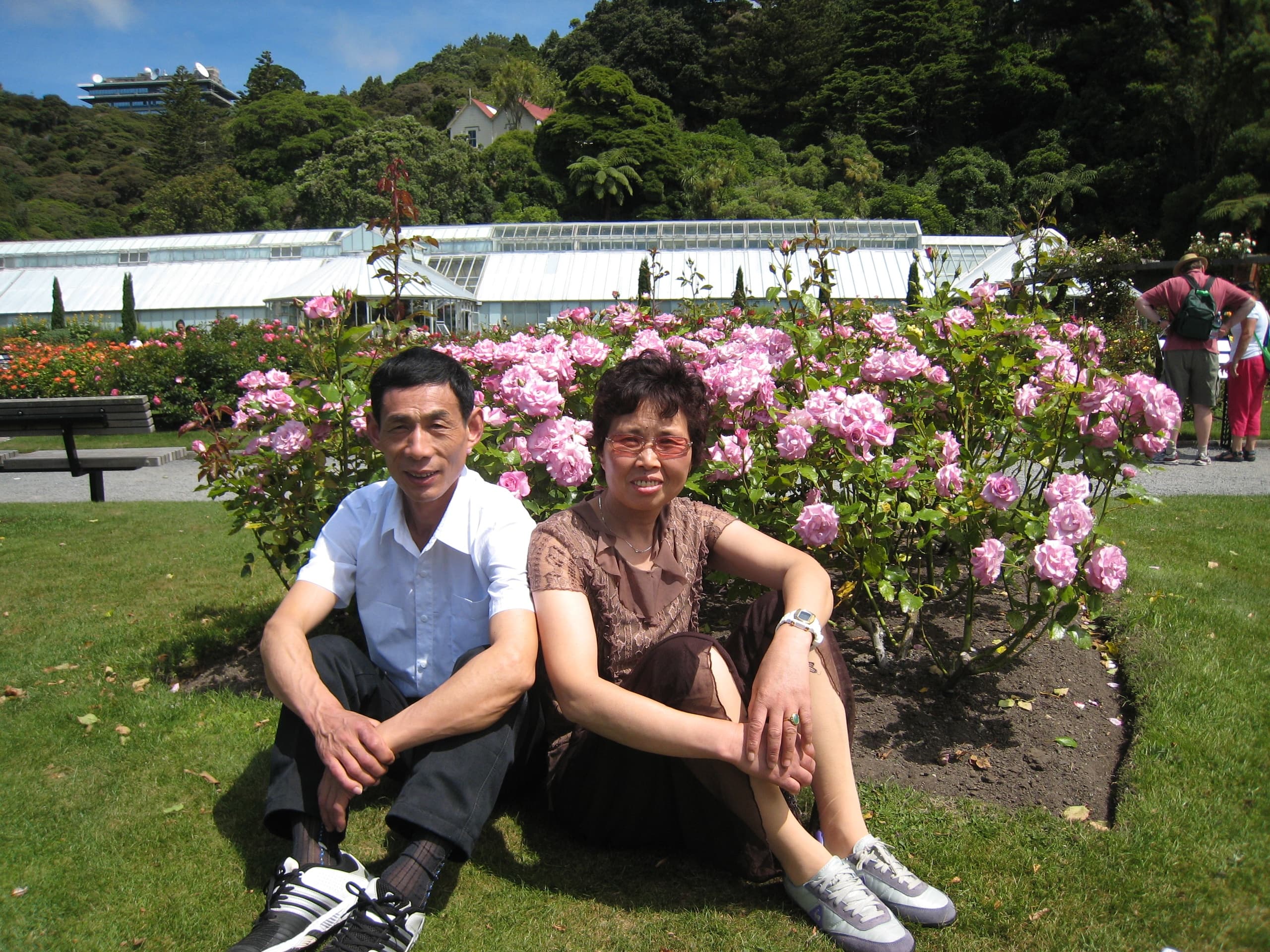 Mandarin Wellington Highlights Tour by Zozo Travel Limited