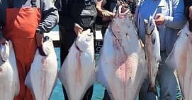 Northwest Oregon Outfitters & Guide Services fleet