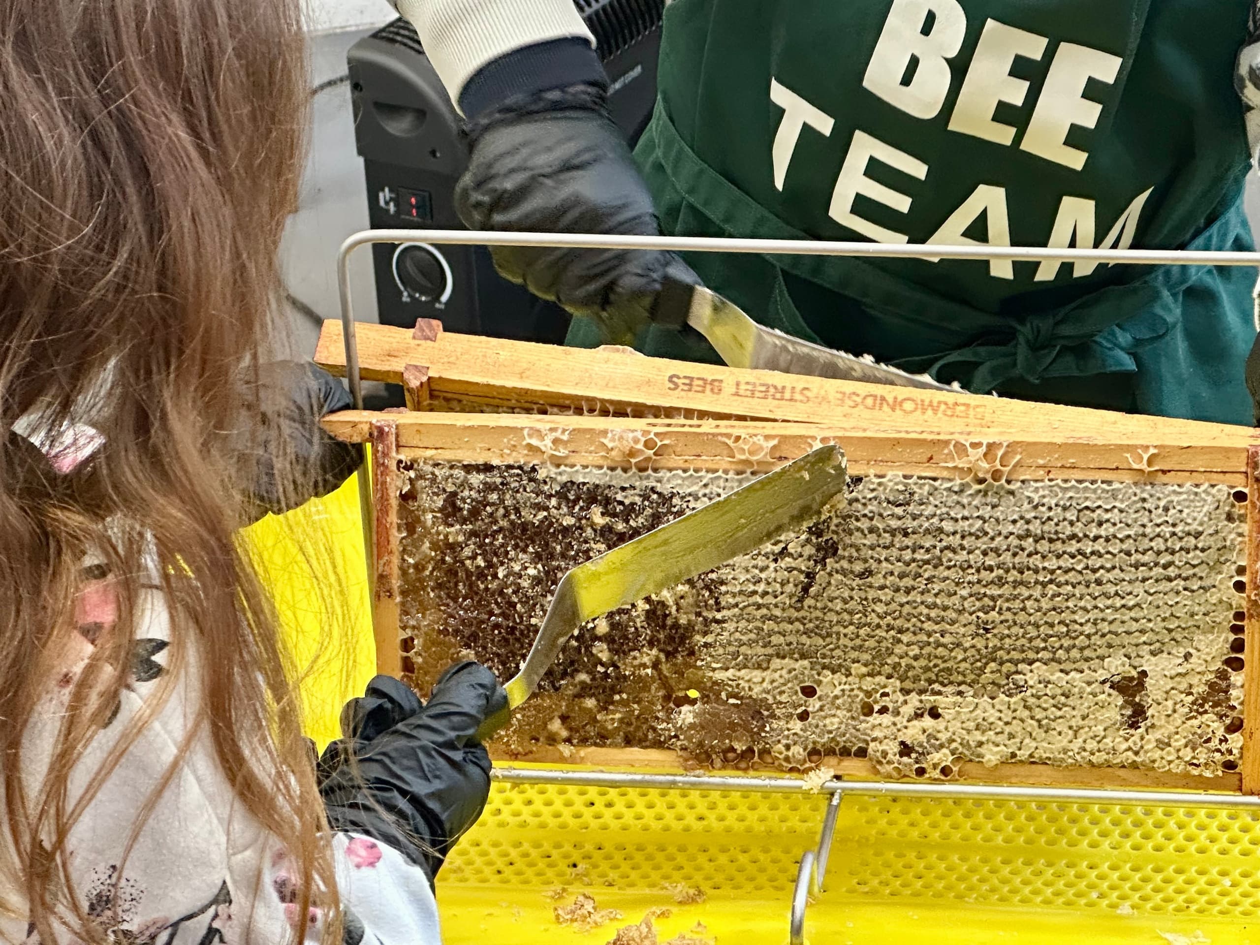 School Holiday Honey Harvest Workshop: Hands-On Beekeeping for Kids Near London Bridge photo 2