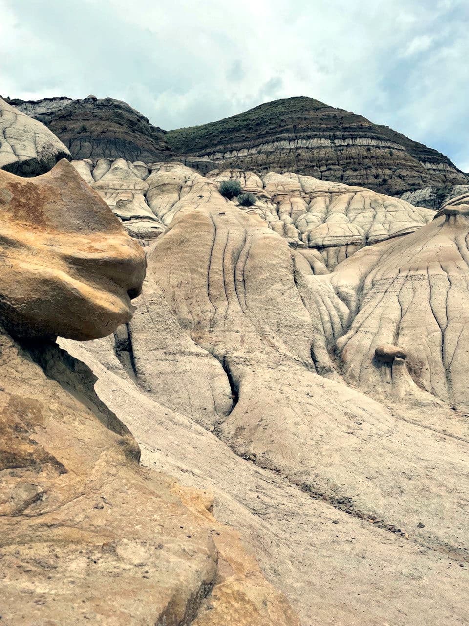 Badlands Adventure & Dinosaur Tour near Calgary