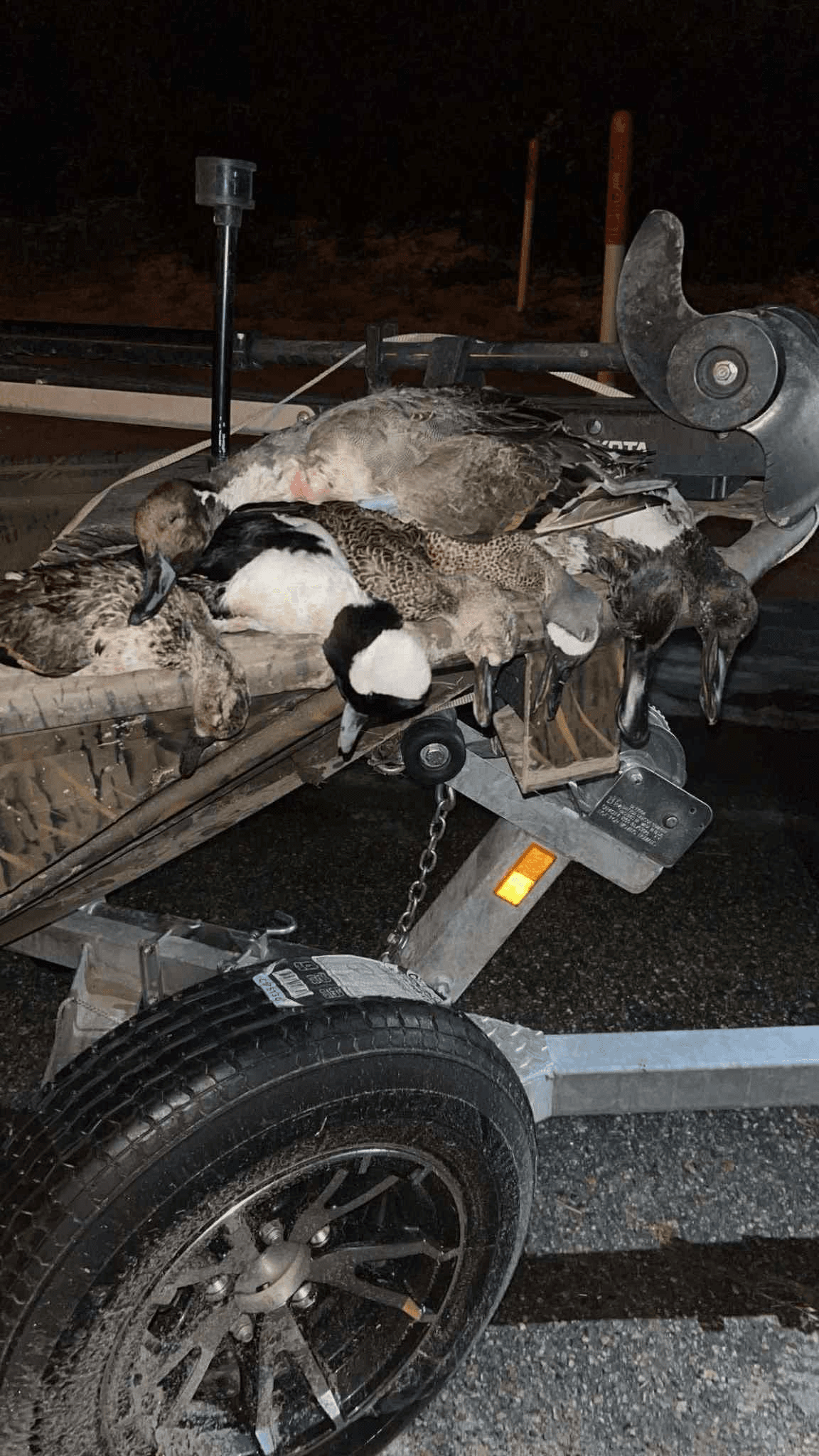 Marsh Duck Hunt from Andrews: Half-Day Open-Boat Waterfowl Adventure