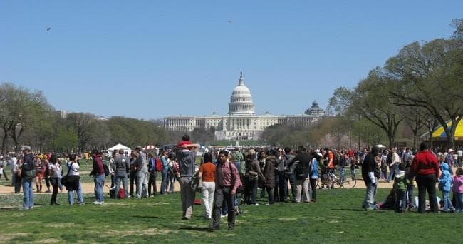 Private Comedy Walks for Groups in Washington DC