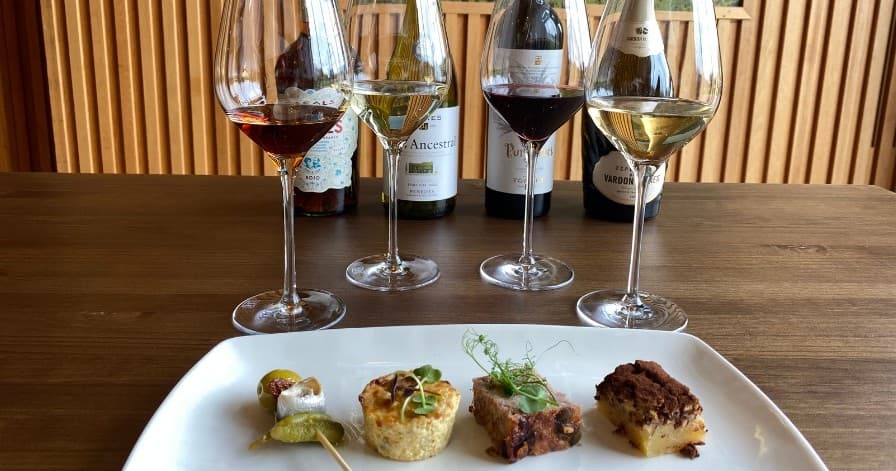 Wine & Tapas Adventure at Barcelona's Penedès Vineyards