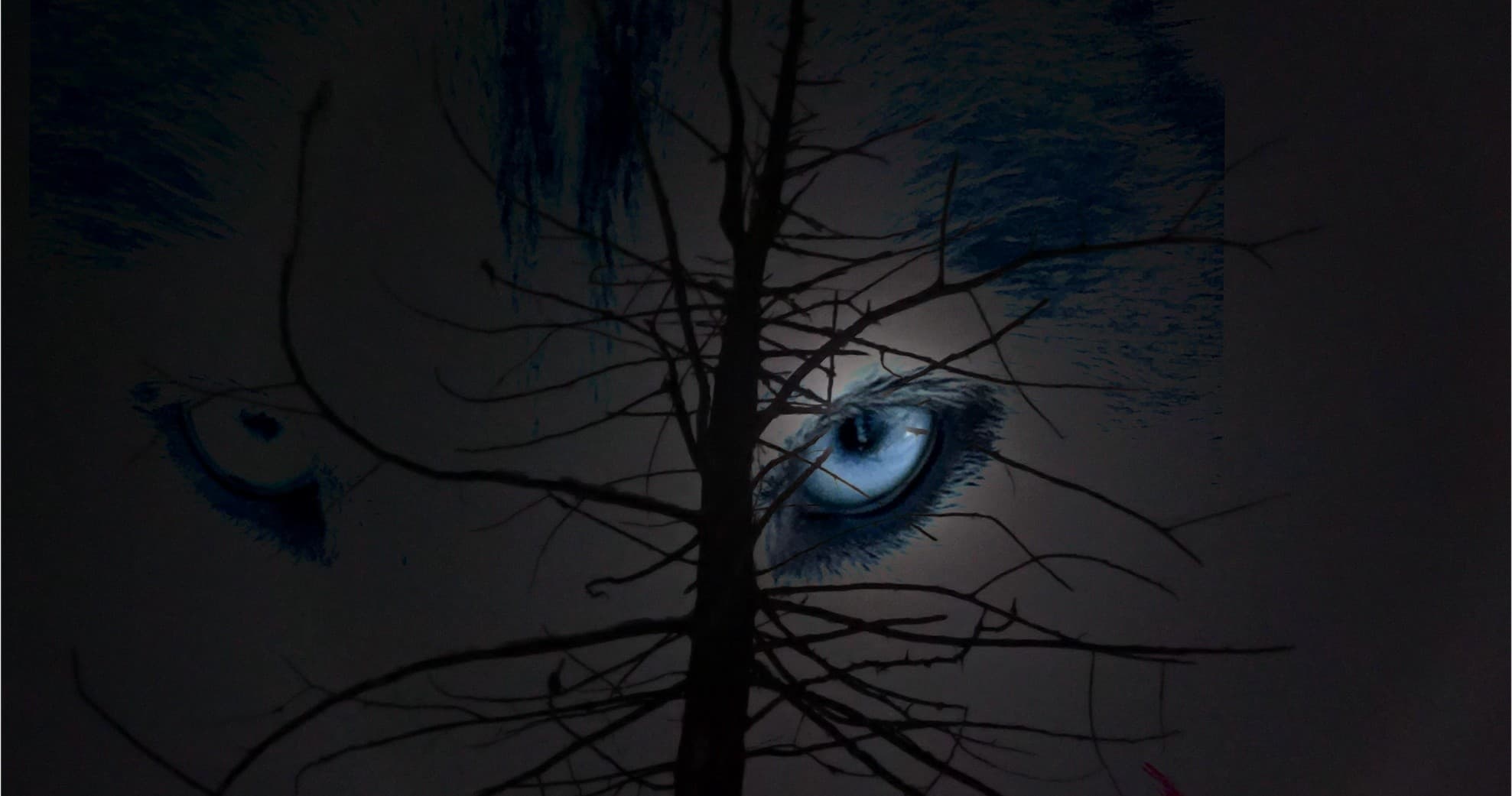 Halloween Haunt: Spine-Tingling Guided Outdoor Adventure at Eagle Lake, Ontario