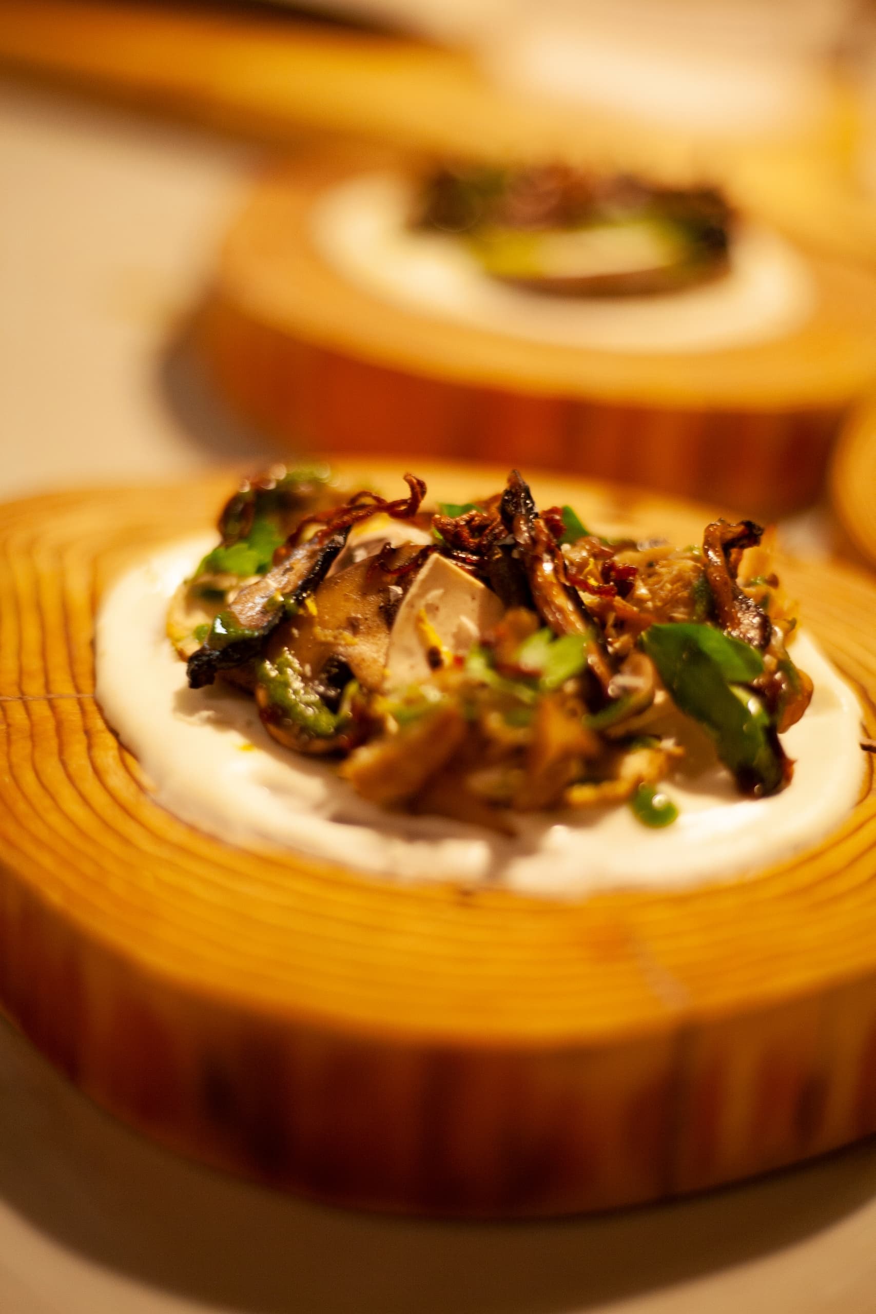 Morel Mushroom Feast: Secret Spring Foraged Dinner in Mount Pleasant Vancouver photo 1