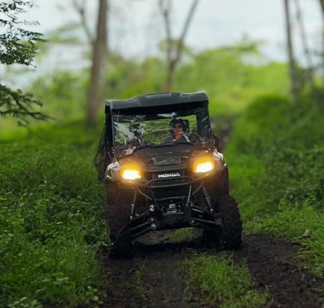 Eco Tour in Mountain View, Hawaii