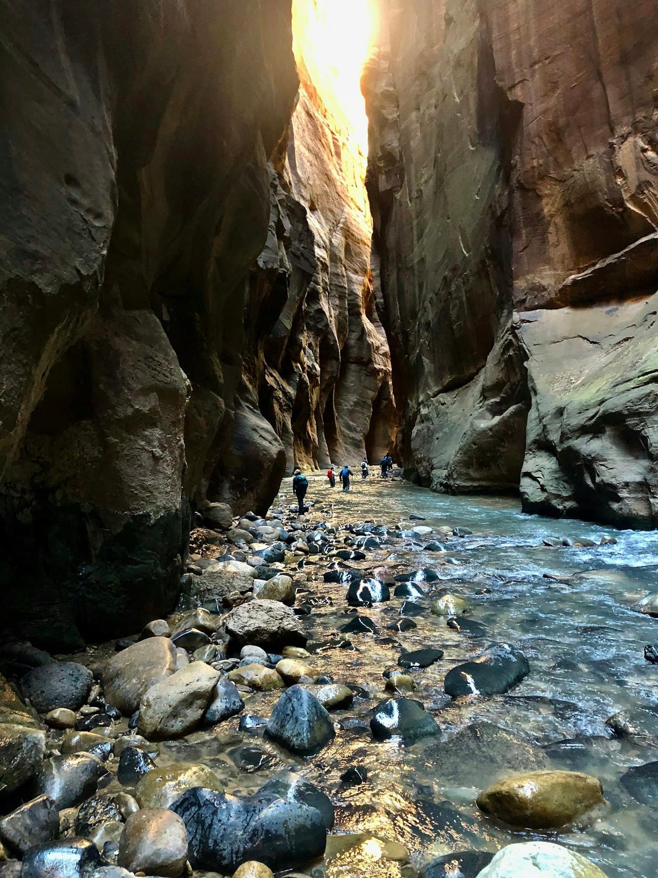 Zion Full Day Small Group & Hike with Good Trip Adventures